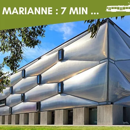 Nouveau - Jungle Montpeul - Clim - Wifi Fibre - Netflix - 5' Du Centre Et Gare - Parking - Loggia - 15' Des Plages 아파트 몽펠리에