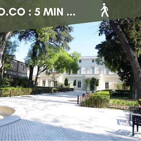 Apartment Jungle Montpeul: Urban Oasis With Fiber Wi-fi And Loggia