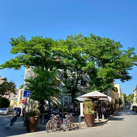 Jungle Montpeul: Urban Oasis With Fiber Wi-fi And Loggia